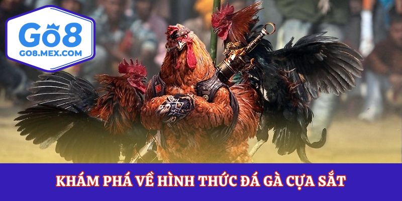 Khám phá về hình thức đá gà cựa sắt