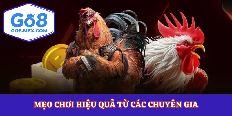 Mẹo chơi hiệu quả từ các chuyên gia